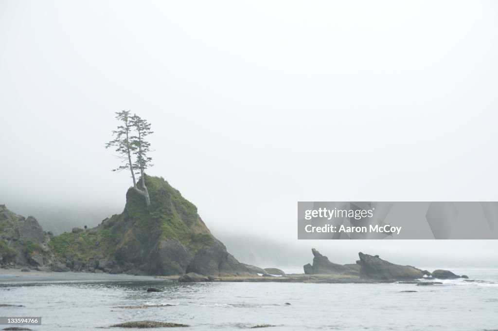 Washington Coast