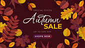Autumn sale banner with leaves. Vector template for sale banner, promo poster, flyer, invitation, website, greeting card, etc