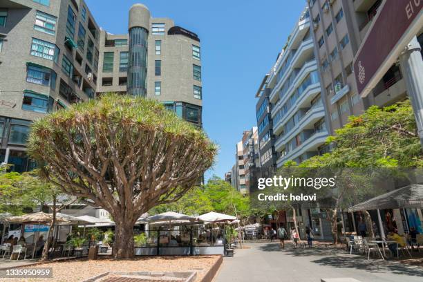 street view of santa cruz de tenerife - santa cruz de tenerife city stock pictures, royalty-free photos & images