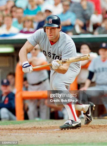 Boston Red Sox catcher Rich Gedman makes a bunt attempt during ALCS, October 12, 1986 in Anaheim, California.