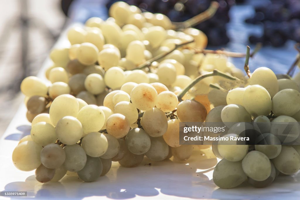 Farmers Market - Organic Grape
