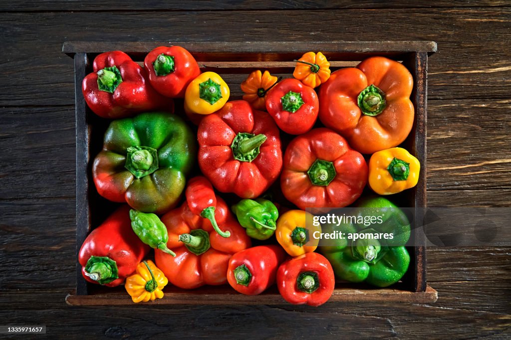 Table top view of a variation of multi colored bell pepper and chili peppers with copy space in a crate