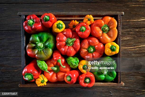 table top view of a variation of multi colored bell pepper and chili peppers with copy space in a crate - bell pepper stock pictures, royalty-free photos & images