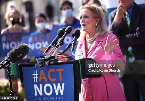 Rep Debbie Dingell speaks on infrastructure and climate change during a news conference outside the Capitol on August 23, 2021 in Washington, DC....