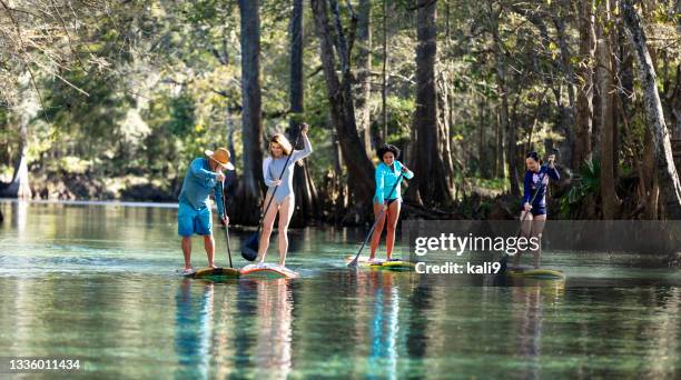 eco tour group of women with guide on paddle boards - using a paddle stock pictures, royalty-free photos & images