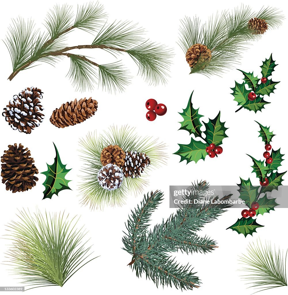 Evergreen Zweig Elemente und Holly Blätter mit Beeren-Cliparts