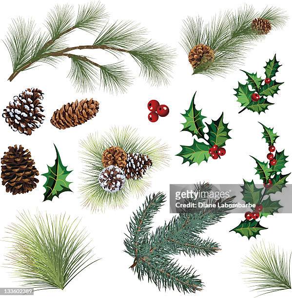 evergreen twig elements and holly leaf with berries clipart - twig stock illustrations