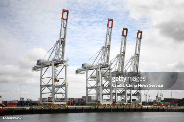 Shipping containers and cranes are seen at the Port of Le Havre on August 13, 2021 in Le Havre, France.
