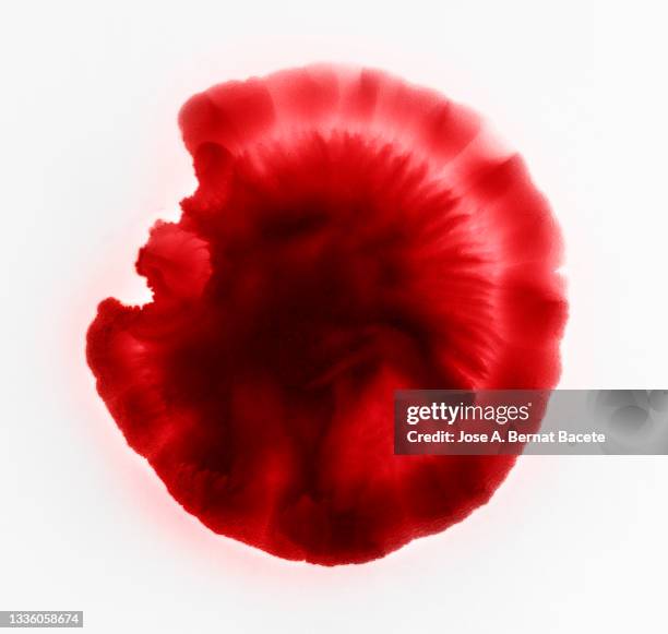 full frame of drop and splashes of red paint on a white canvas in the form of blood. - blood fotografías e imágenes de stock