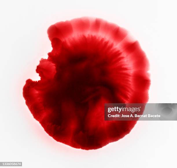full frame of drop and splashes of red paint on a white canvas in the form of blood. - blood splatter foto e immagini stock