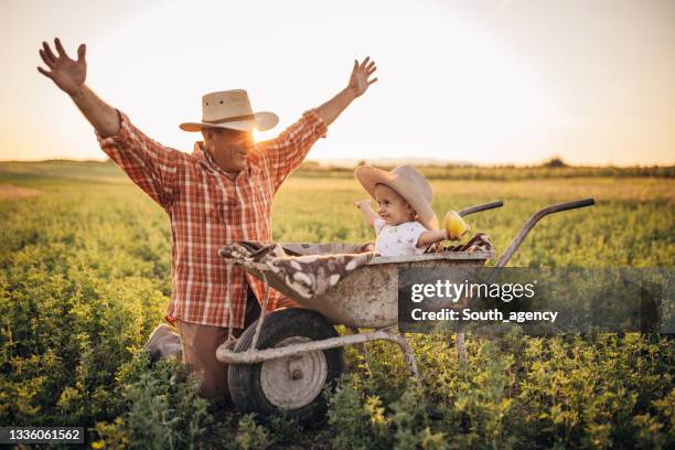 senior farmer and grandson on a meadow - man pushing cart fun play stock pictures, royalty-free photos & images