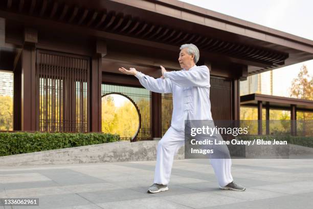 cheerful senior chinese man practicing tai chi in the park - tai chi stock pictures, royalty-free photos & images