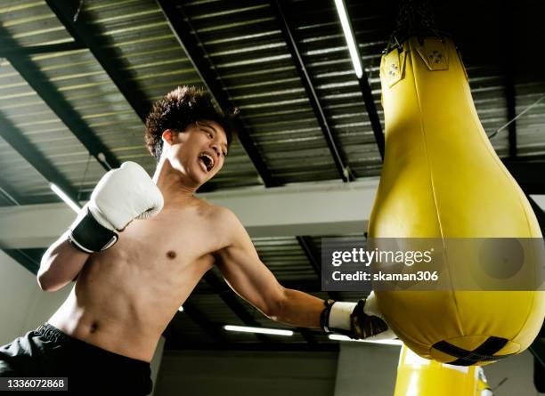 asian young adult boxer  practice boxing and strong punch with yellow punching bag at boxing gym - kickboxing gloves stock pictures, royalty-free photos & images