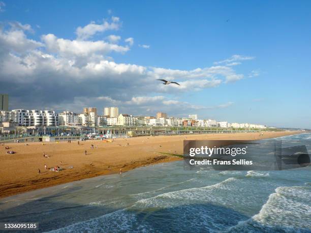 skyline of brighton and brighton beach, taken from the brighton palace pier - brighton beach stock pictures, royalty-free photos & images
