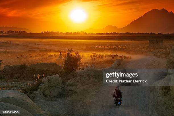 shepard and flock - afghanistan village stock pictures, royalty-free photos & images