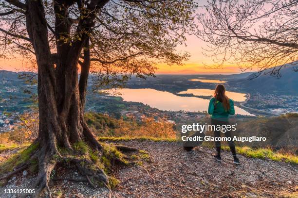 young woman admiring annone lake from barro mount at sunset with her puppy australian shepherd dog, galbiate, lecco province, lombardy, italy - italy winter stock pictures, royalty-free photos & images