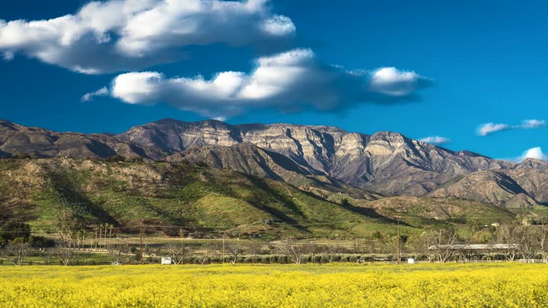 13 Topa Topa Videos and HD Footage - Getty Images 13 Topa Topa Videos and HD Footage - Getty Images