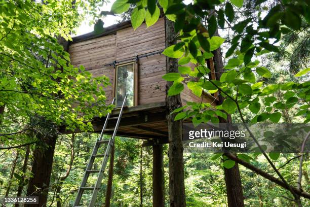 treehouse in the forest. - tree house bildbanksfoton och bilder