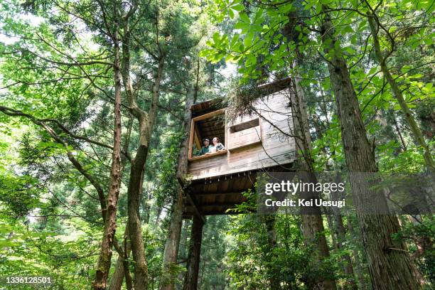 treehouse in the forest. - tree house stock-fotos und bilder