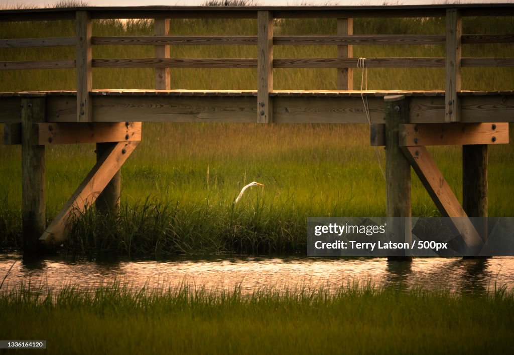 View of bridge over lake,Chatham,Massachusetts,United States,USA