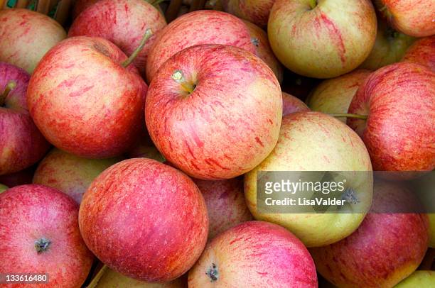 harvest - apple juice stock pictures, royalty-free photos & images