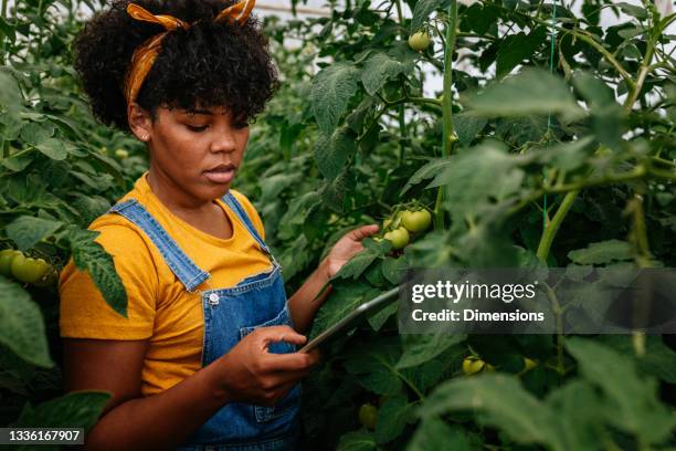 female farmer using a tablet while working on her farm - african american farmer stockfoto's en -beelden