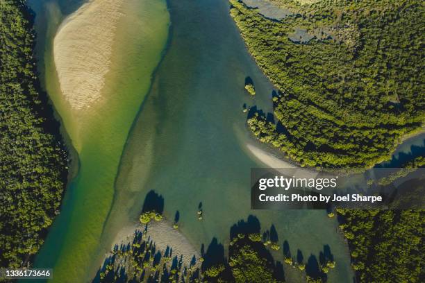 river patterns among the mangroves - victoria aerial stock pictures, royalty-free photos & images