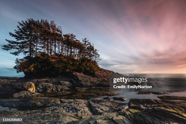 vancouver island sunset - vancouver island stock pictures, royalty-free photos & images