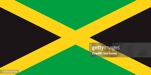 stockillustraties, clipart, cartoons en iconen met jamaica caribbean flag - honkballiga