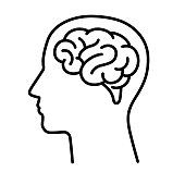 Brain and human head icon