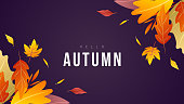 Banner Autumn background Many leaves change color in the autumn colors , for content online or web, banner and template, Simple cartoon flat style. illustration Vector EPS 10