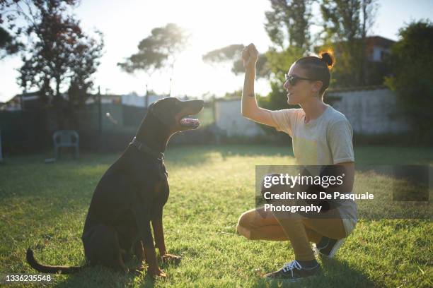 woman training dog - dog sitting stock pictures, royalty-free photos & images