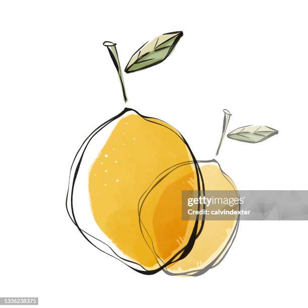 lemon fruit color pencil drawing - keto stock illustrations