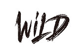 Wild vector lettering