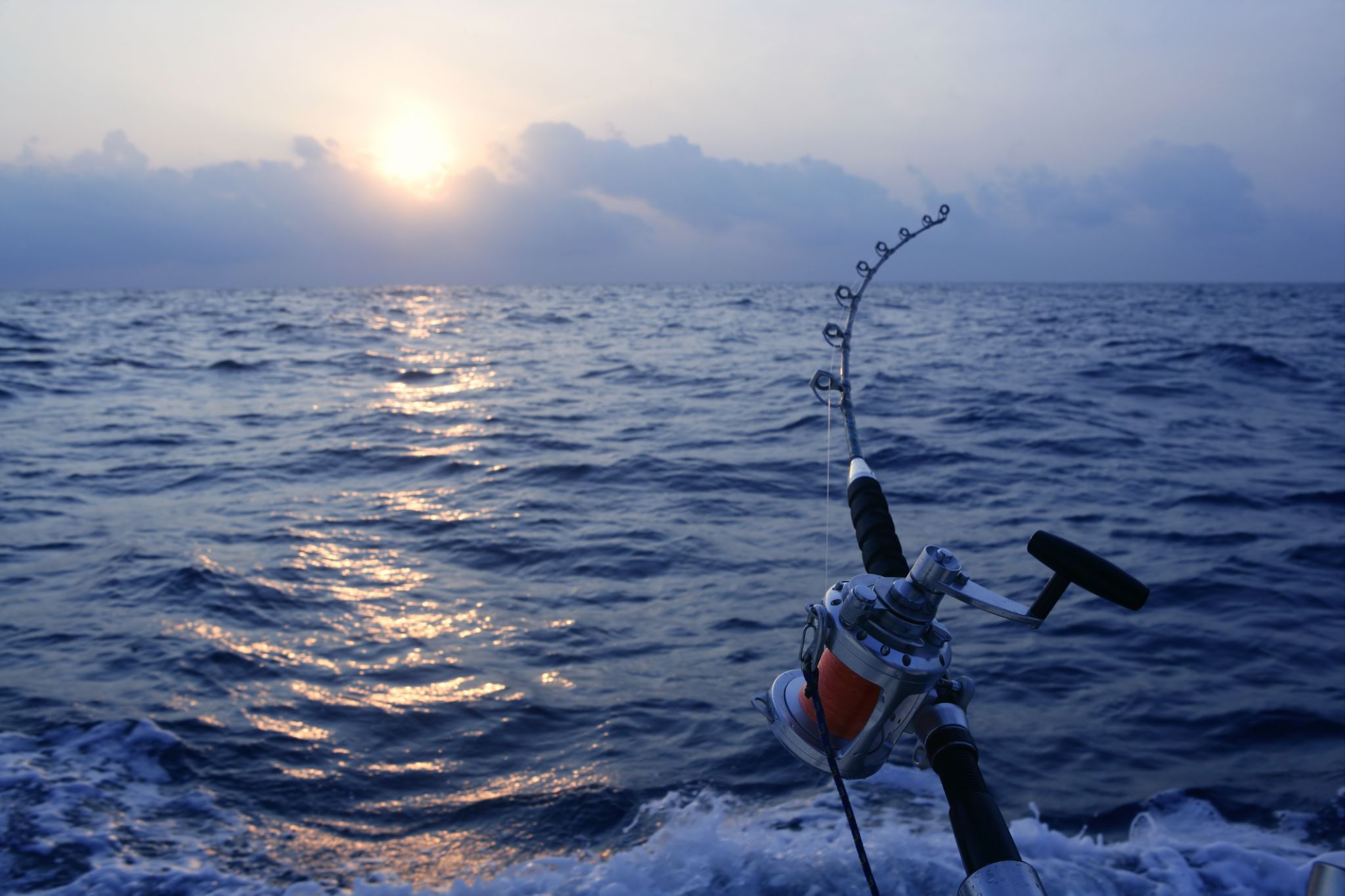 bottom sea fishing