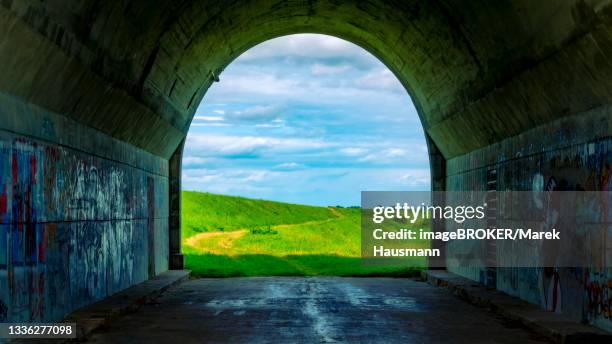 tunnel and a view of the meadows. the tunnel under the 'knybawa bridge' over the vistula river. tczew, dirschau, poland - dirschau stock pictures, royalty-free photos & images