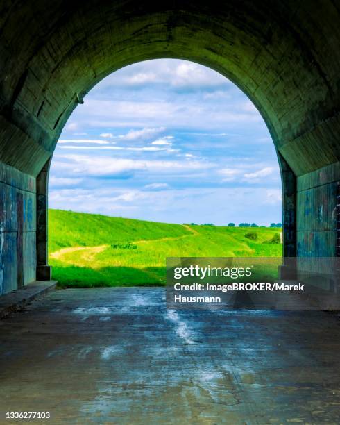 tunnel and a view of the meadows. the tunnel under the 'knybawa bridge' over the vistula river. tczew, dirschau, poland - dirschau stock pictures, royalty-free photos & images