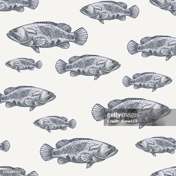 ilustraciones, imágenes clip art, dibujos animados e iconos de stock de patrón sin costuras dibujado a mano de peces de granero - mero