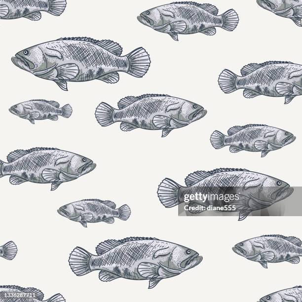 hand drawn seamless pattern of grouper fish - grouper stock illustrations