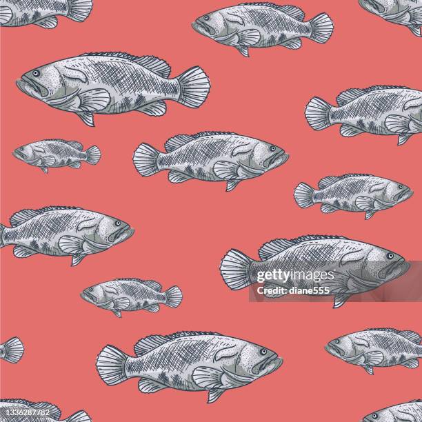 hand drawn seamless pattern of grouper fish - grouper stock illustrations