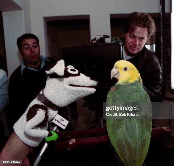Puppet Commercial 29 Petscom Stock Photos, High-Res Pictures, and Images - Getty Images