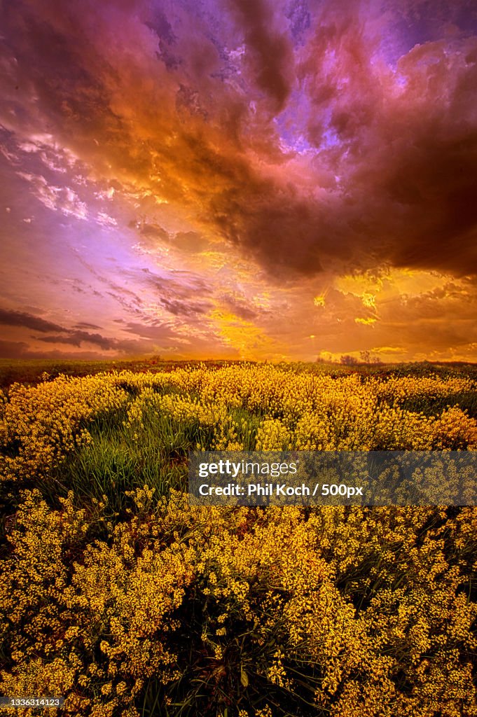 Scenic view of field against sky during sunset,Wisconsin,United States,USA