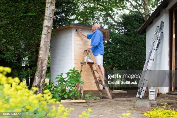home improvement projects - man shed stock pictures, royalty-free photos & images