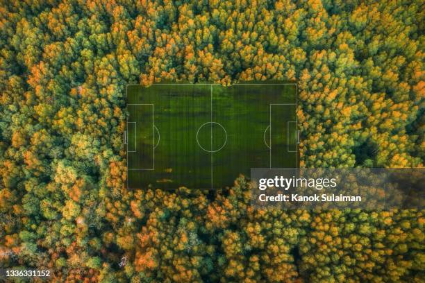 aerial view of  secret soccer field in forest - football pitch stockfoto's en -beelden