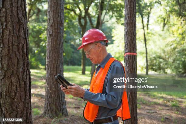 forester che segna gli alberi per essere tagliato.  porta un tablet digitale e indossa un giubbotto di sicurezza e un cappello rigido. - territory foto e immagini stock