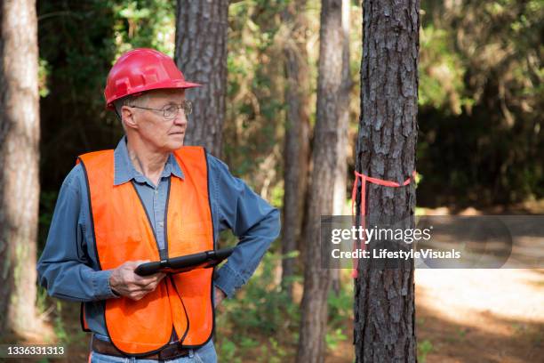 förster markiert bäume zum fällen. er trägt ein digitales tablet und trägt eine warnweste und einen schutzhelm. - us amerikanische umweltschutzbehörde stock-fotos und bilder