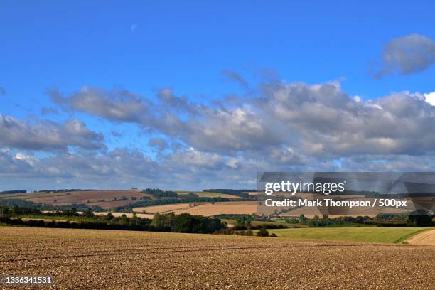 scenic view of agricultural field against sky,east riding of yorkshire,united kingdom,uk - east riding of yorkshire stock-fotos und bilder
