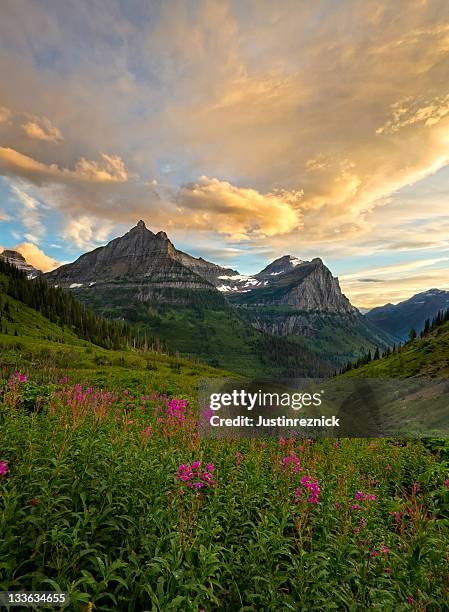 glacier national park mountain scene - montana moody sky stock pictures, royalty-free photos & images