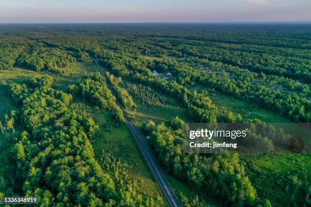 muskoka torrance barrens dark-sky preserve at dusk, gravenhurst, canada - railroad track stock pictures, royalty-free photos & images