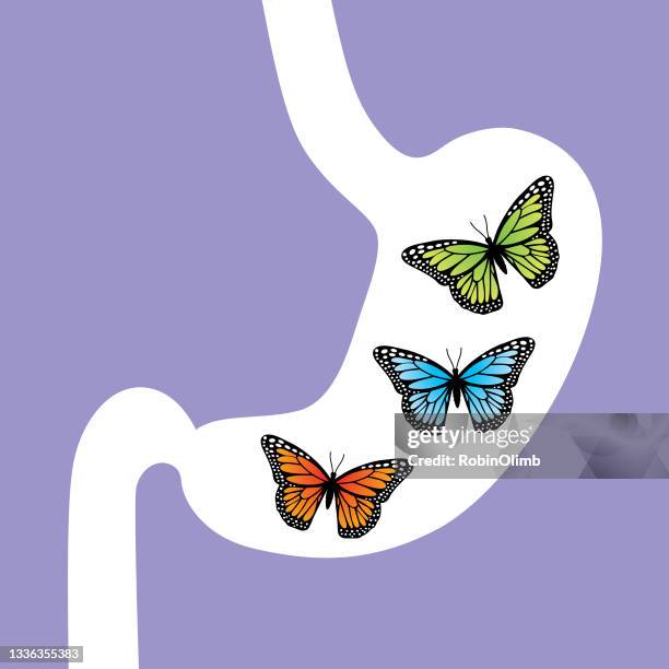 ilustraciones, imágenes clip art, dibujos animados e iconos de stock de mariposas de colores en el estómago - animal abdomen